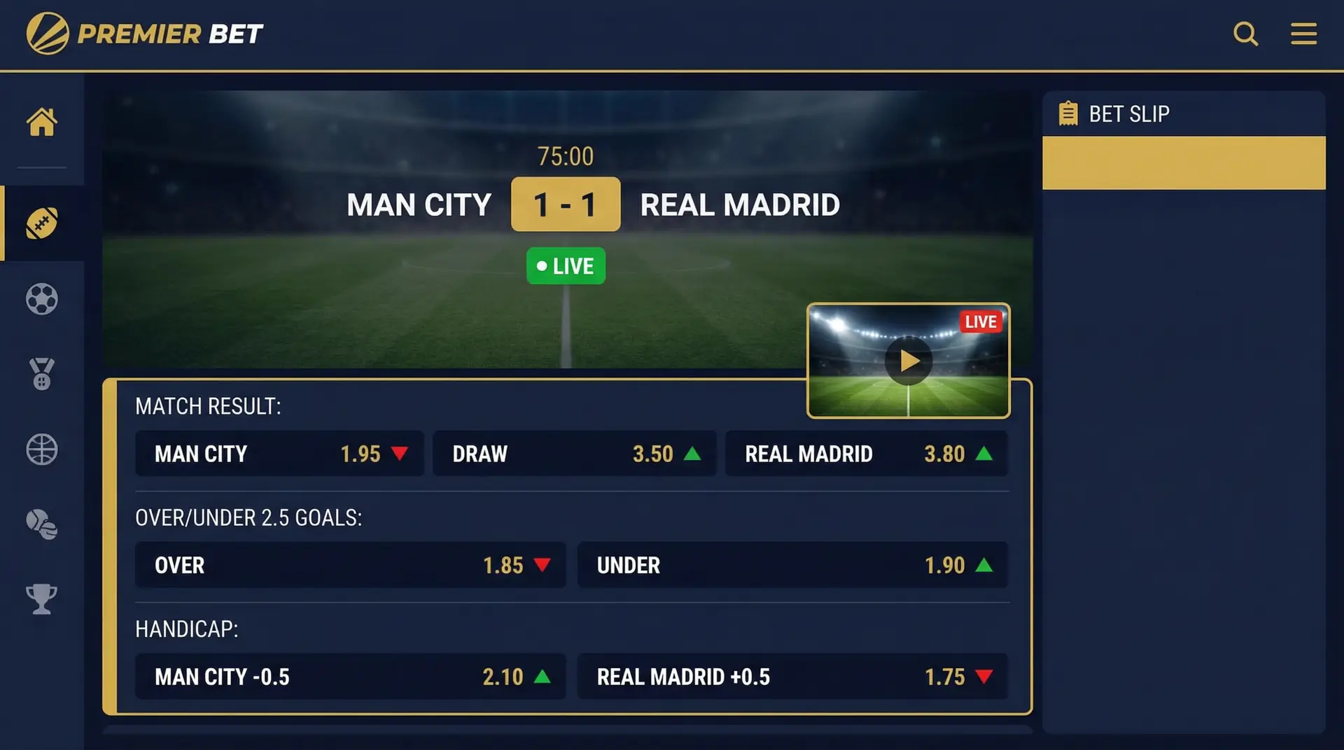 ng体育实时投注界面截图